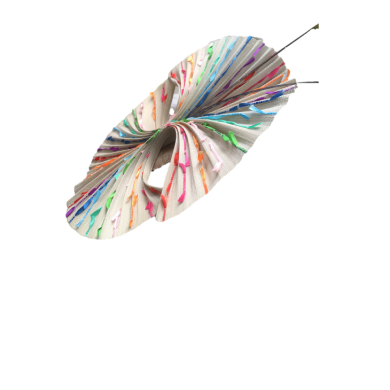 Chapeau Papillon